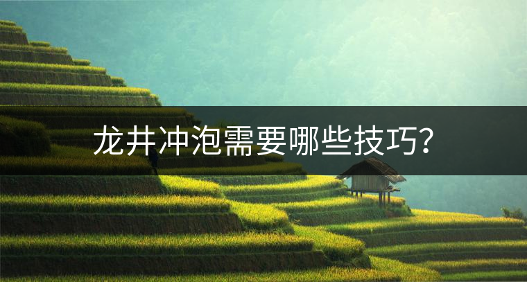 龍井沖泡需要哪些技巧？