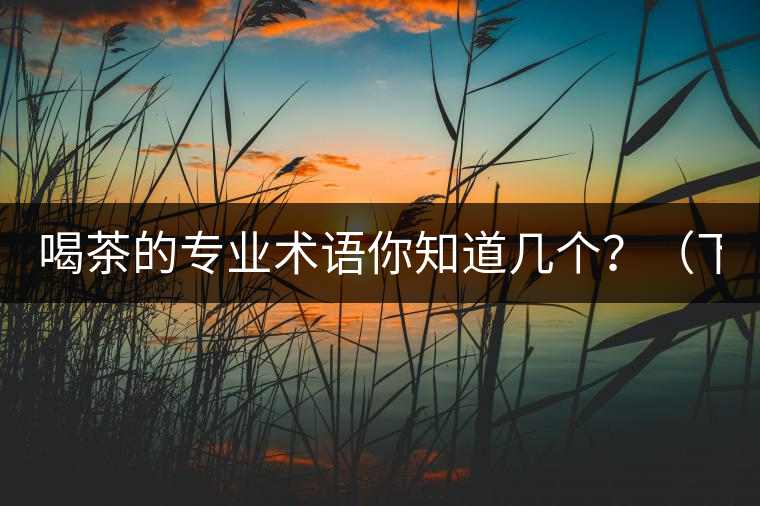 喝茶的專業(yè)術(shù)語你知道幾個(gè)？（下篇）