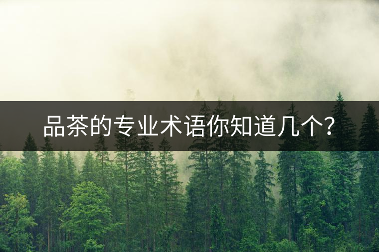 品茶的專業(yè)術(shù)語(yǔ)你知道幾個(gè)？