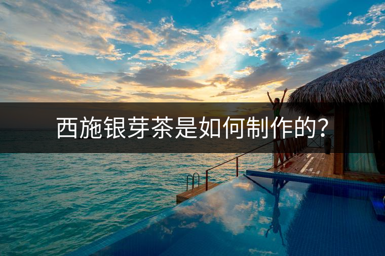 西施銀芽茶是如何制作的？
