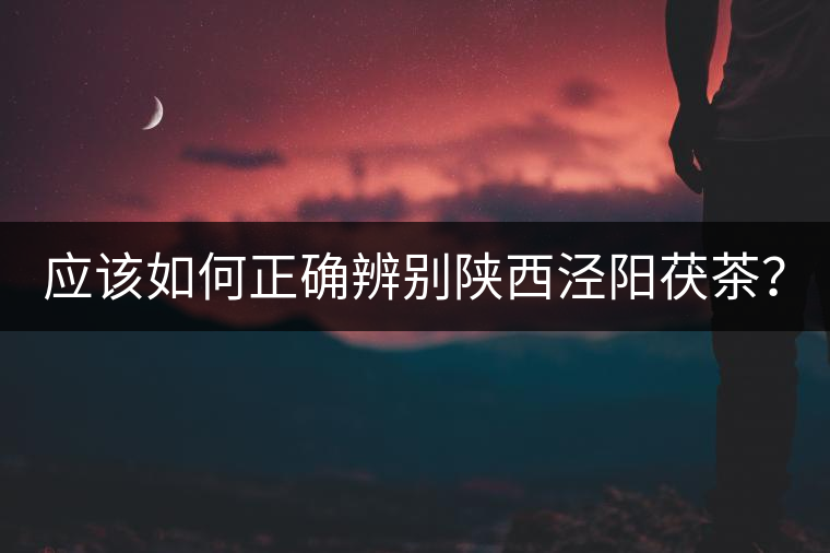 應(yīng)該如何正確辨別陜西涇陽(yáng)茯茶？