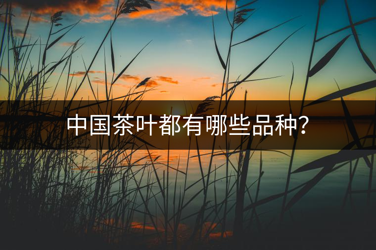 中國(guó)茶葉都有哪些品種？