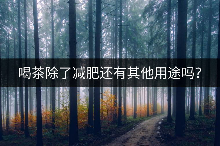 喝茶除了減肥還有其他用途嗎？