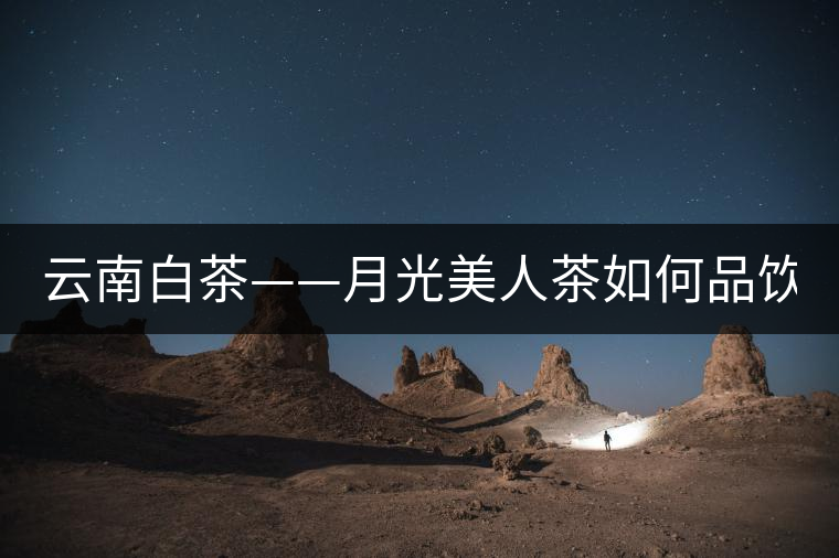 云南白茶——月光美人茶如何品飲？