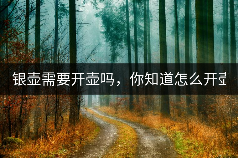 銀壺需要開壺嗎，你知道怎么開壺？
