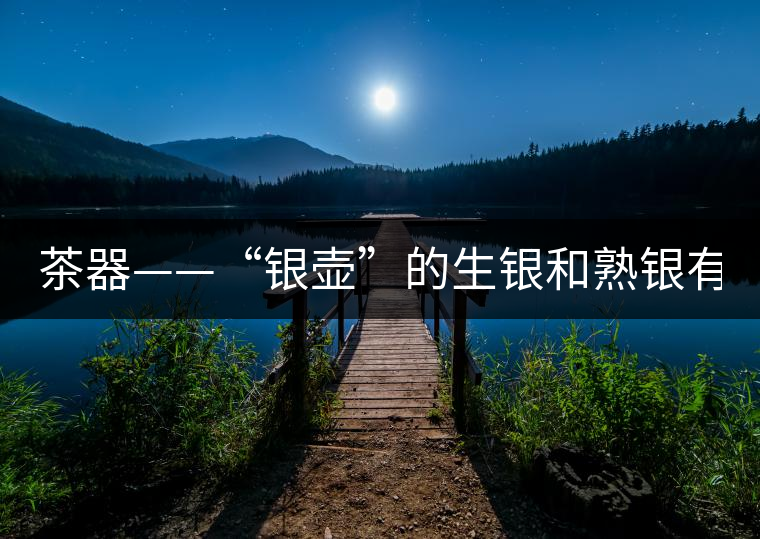 茶器——“銀壺”的生銀和熟銀有什么區(qū)別嗎？