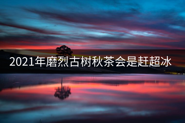 2021年磨烈古樹秋茶會是趕超冰島的存在嗎？