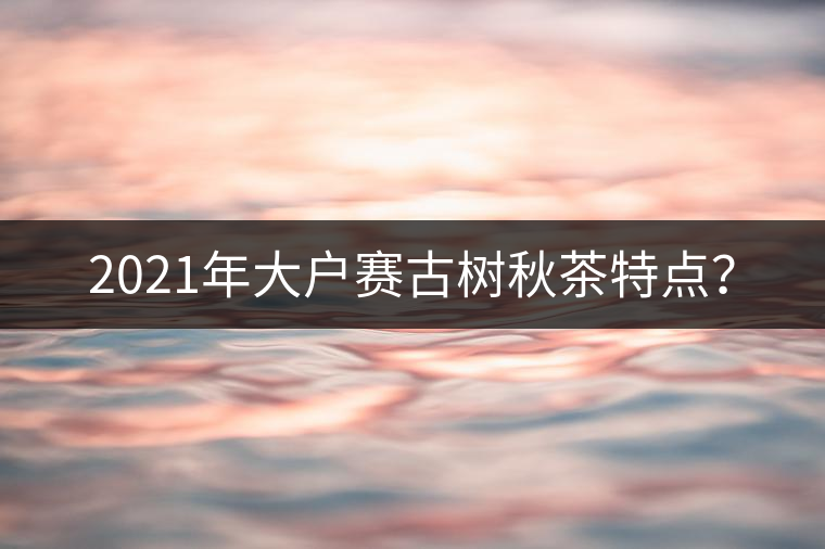 2021年大戶賽古樹秋茶特點(diǎn)？