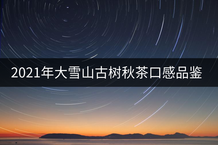2021年大雪山古樹秋茶口感品鑒？