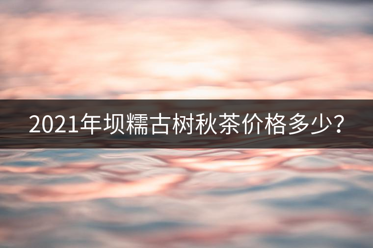 2021年壩糯古樹秋茶價(jià)格多少？