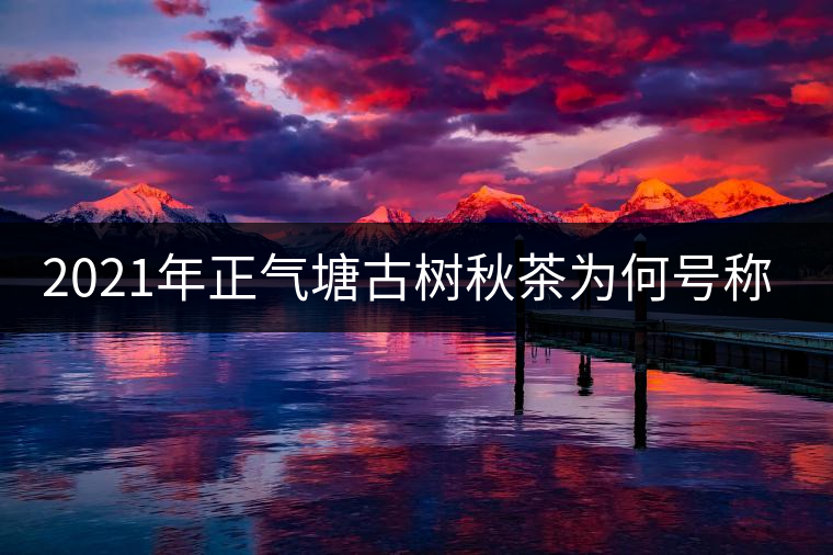 2021年正氣塘古樹(shù)秋茶為何號(hào)稱小冰島？