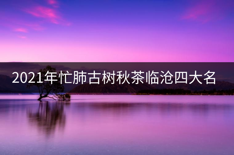 2021年忙肺古樹秋茶臨滄四大名茶之一！