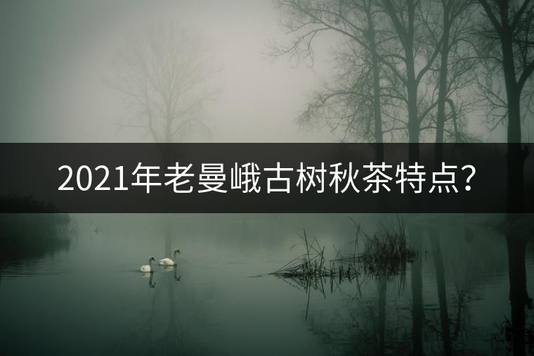 2021年老曼峨古樹秋茶特點(diǎn)? 2021年老曼峨古樹秋茶特點(diǎn)?