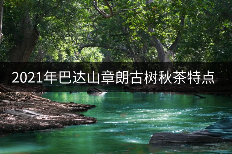 2021年巴達(dá)山章朗古樹秋茶特點(diǎn)？