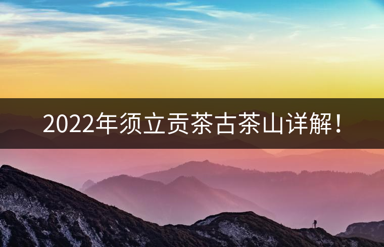 2022年須立貢茶古茶山詳解！