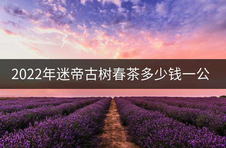 2022年迷帝古樹春茶多少錢一公斤？