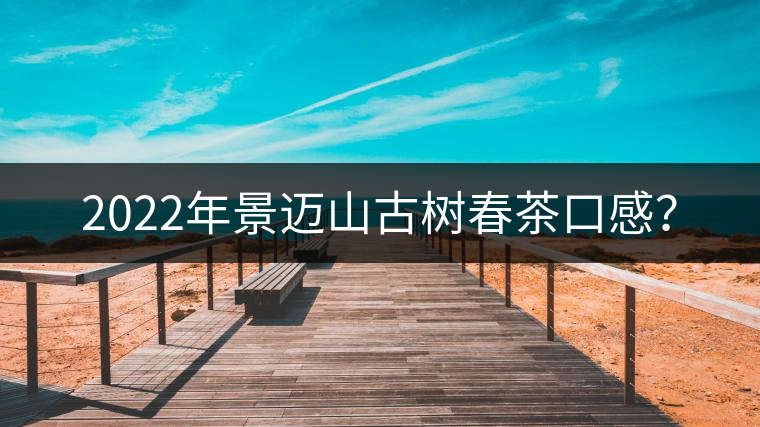 2022年景邁山古樹春茶口感？