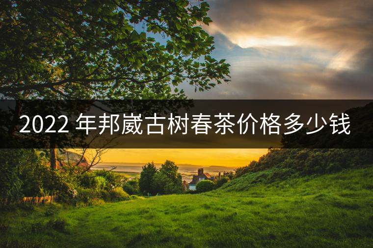 2022 年邦崴古樹春茶價格多少錢一公斤？