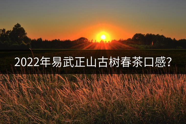 2022年易武正山古樹春茶口感? 2022年易武正山古樹春茶口感?