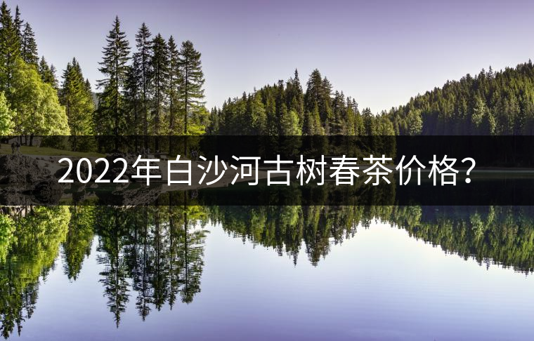 2022年白沙河古樹春茶價格？