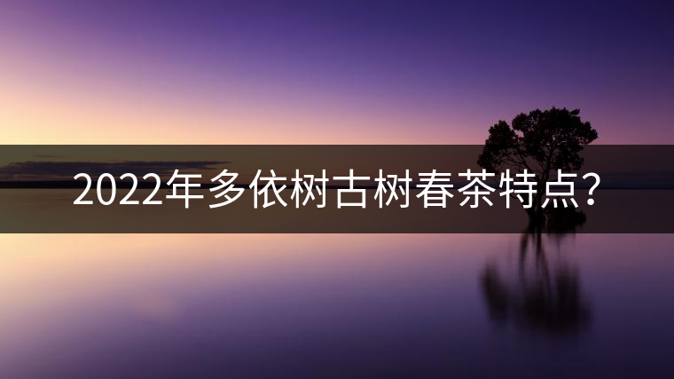 2022年多依樹(shù)古樹(shù)春茶特點(diǎn)？