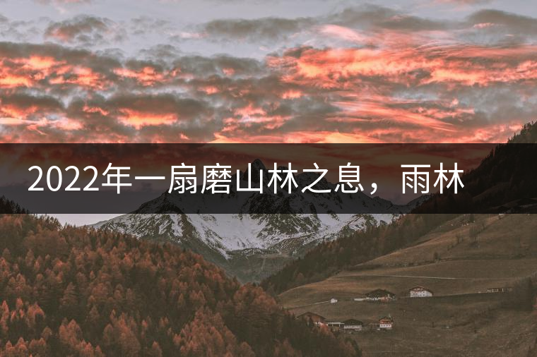 2022年一扇磨山林之息，雨林之味，原始之態(tài)