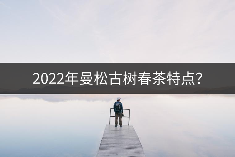 2022年曼松古樹春茶特點? 2022年曼松古樹春茶特點?