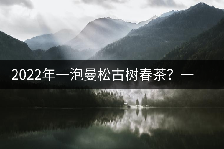 2022年一泡曼松古樹(shù)春茶？一飲帝王味……