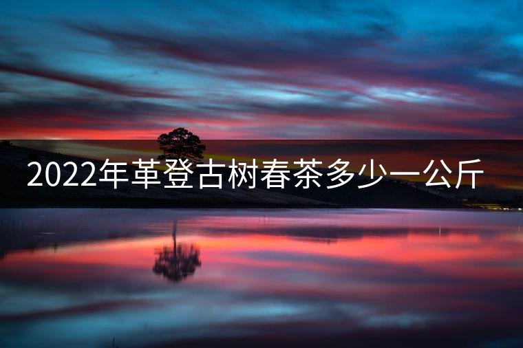 2022年革登古樹春茶多少一公斤？