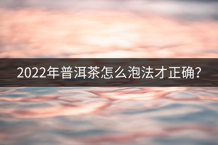 2022年普洱茶怎么泡法才正確？