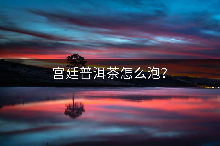 宮廷普洱茶怎么泡？