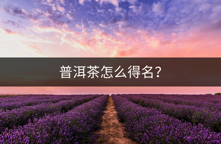 普洱茶怎么得名？