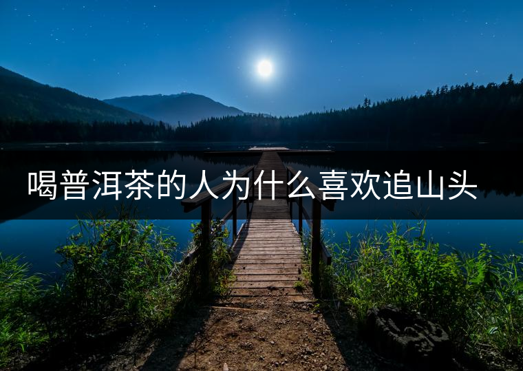 喝普洱茶的人為什么喜歡追山頭？無非就是這幾個(gè)原因