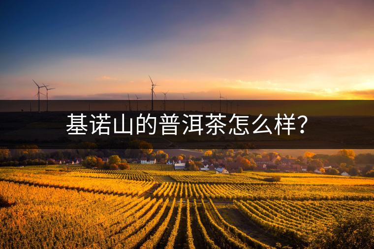 基諾山的普洱茶怎么樣？