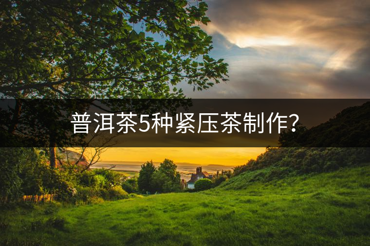 普洱茶5種緊壓茶制作？