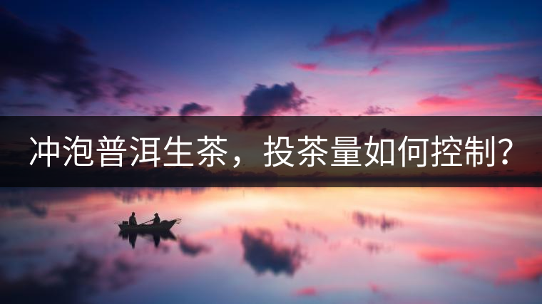 沖泡普洱生茶，投茶量如何控制？
