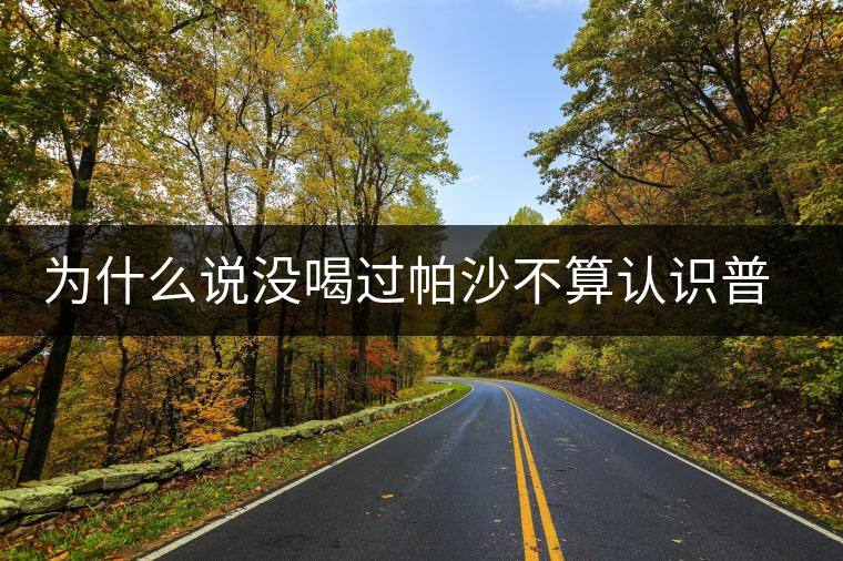 為什么說沒喝過帕沙不算認(rèn)識(shí)普洱茶？
