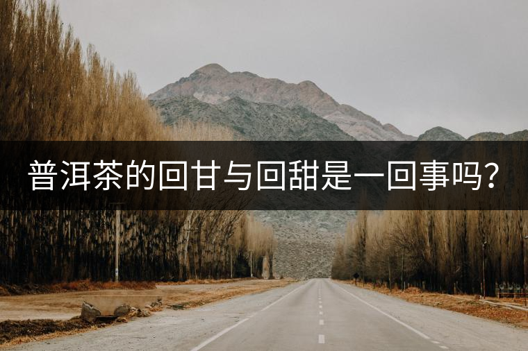 普洱茶的回甘與回甜是一回事嗎？？