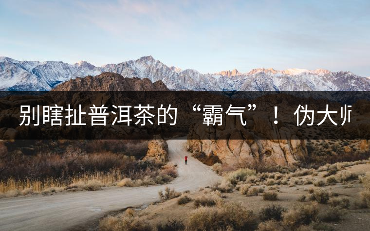 別瞎扯普洱茶的“霸氣”！偽大師！