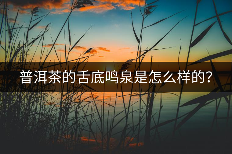 普洱茶的舌底鳴泉是怎么樣的？