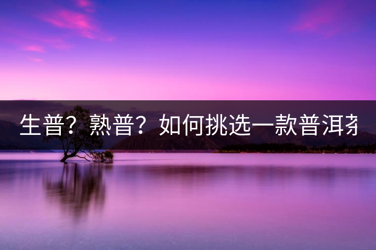 生普？熟普？如何挑選一款普洱茶？