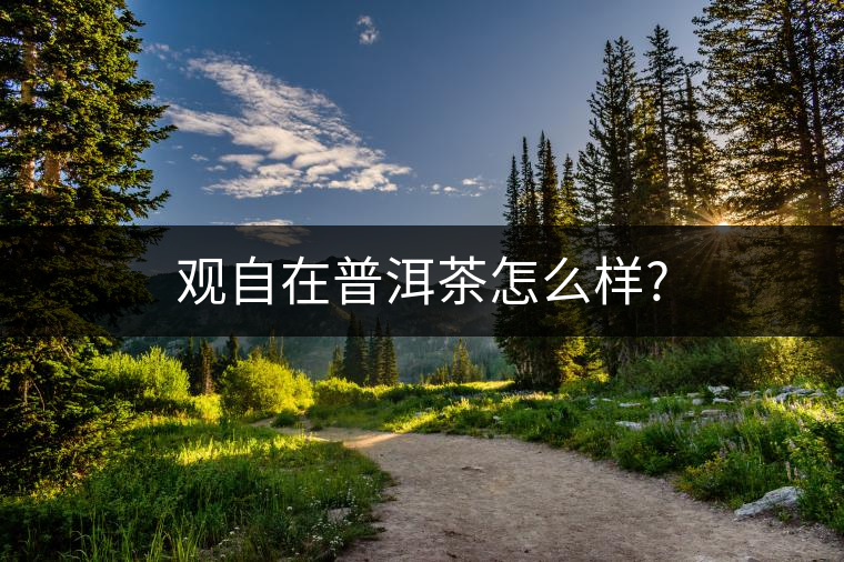觀自在普洱茶怎么樣? 觀自在普洱茶怎么樣?