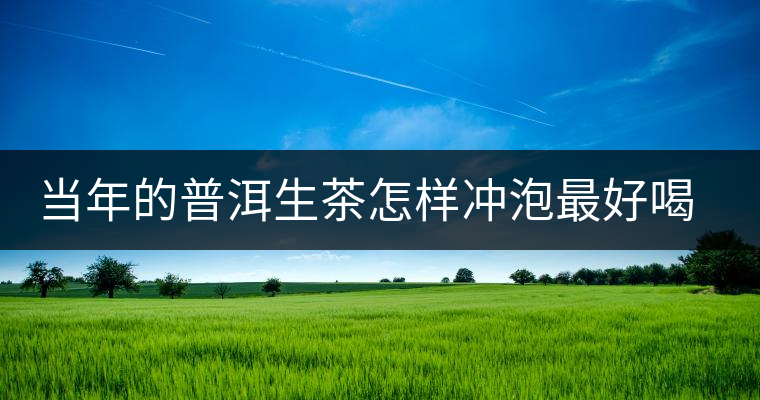當年的普洱生茶怎樣沖泡最好喝? 當年的普洱生茶怎樣沖泡最好喝?