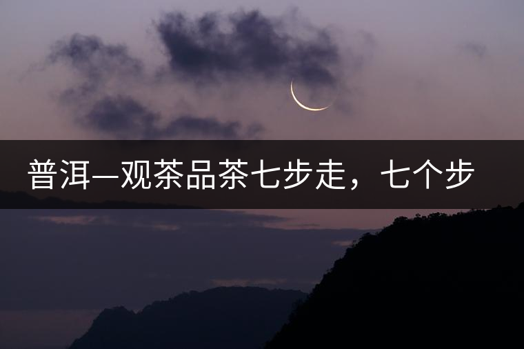 普洱—觀茶品茶七步走，七個(gè)步驟，喝懂普洱茶