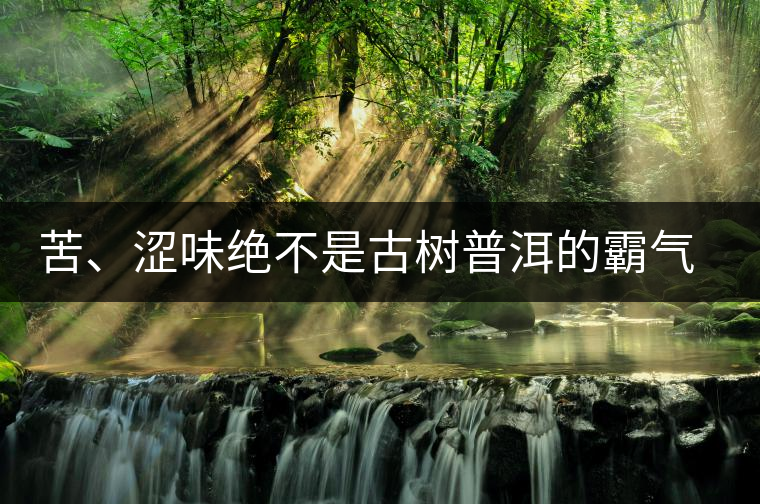 苦、澀味絕不是古樹普洱的霸氣，那也叫懂普洱茶，別逗了！