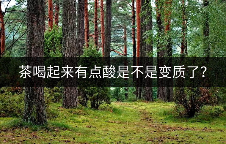 茶喝起來有點(diǎn)酸是不是變質(zhì)了？