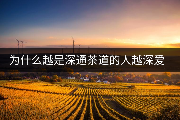 為什么越是深通茶道的人越深愛普洱茶？喜歡普洱茶，有三個(gè)原因。