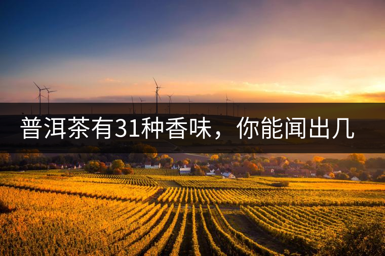 普洱茶有31種香味，你能聞出幾種來(lái)?