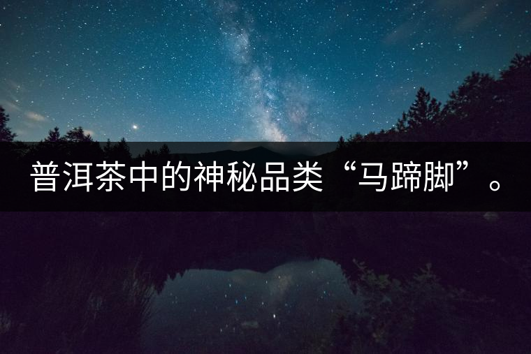 普洱茶中的神秘品類“馬蹄腳”。