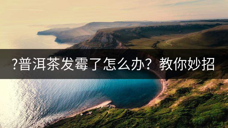 ?普洱茶發(fā)霉了怎么辦？教你妙招應(yīng)對發(fā)霉的普洱茶！